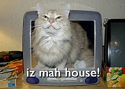 iz mah house!